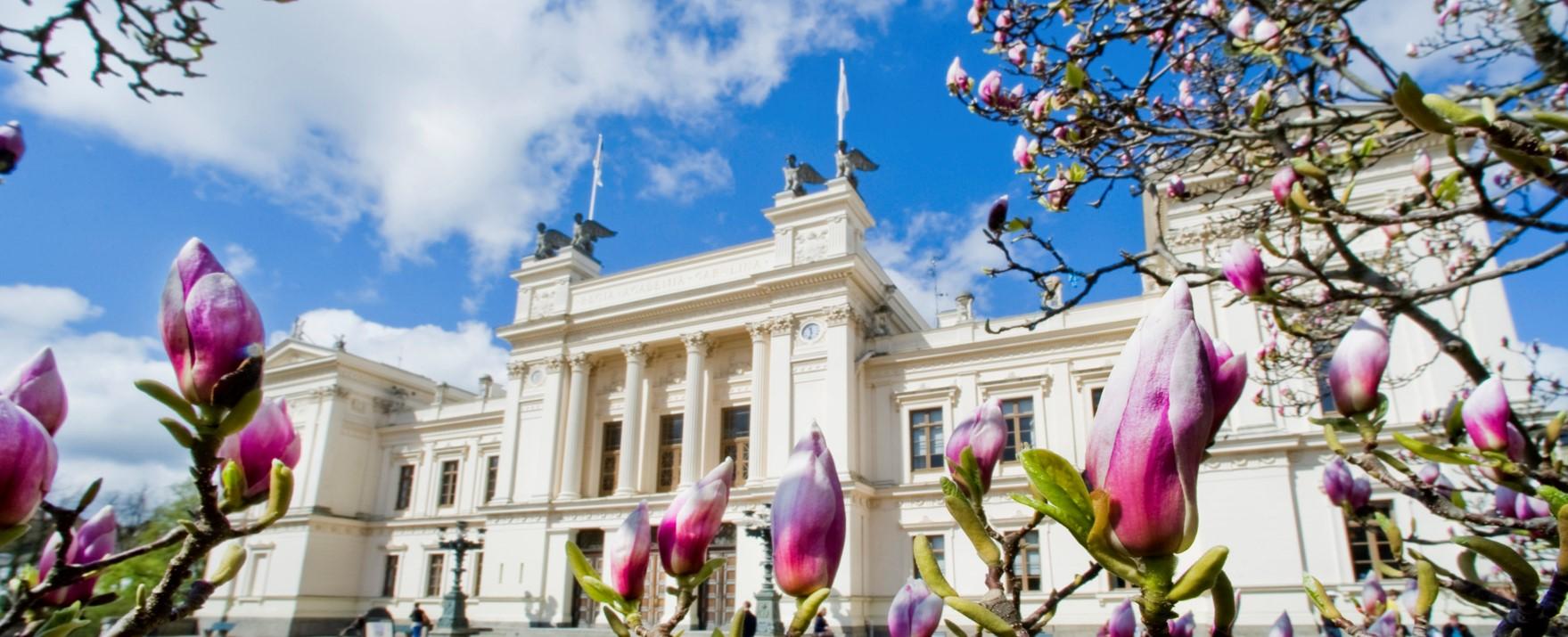 ST inom Universitets-& Högskoleomr/Lunds universitet
